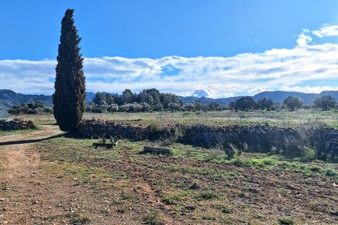 Finca i Ginestar, Tarragona, Ginestar - € 210.000 | Ref: CC837 - foto 12